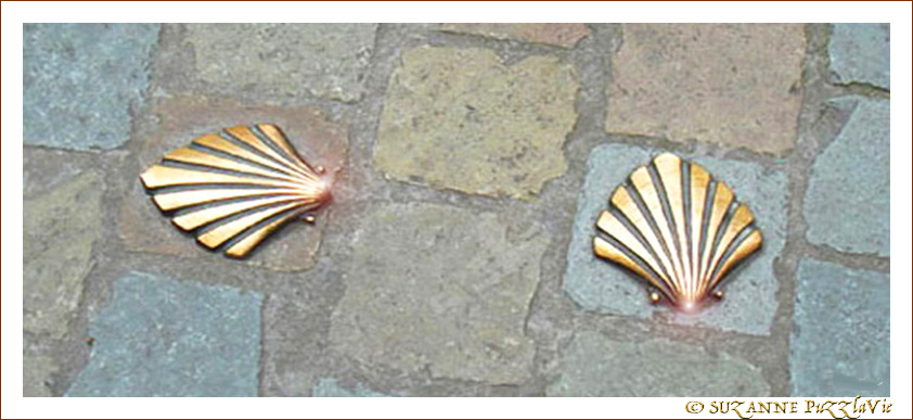 Chemin de Compostelle et Coquilles Saint-Jacques